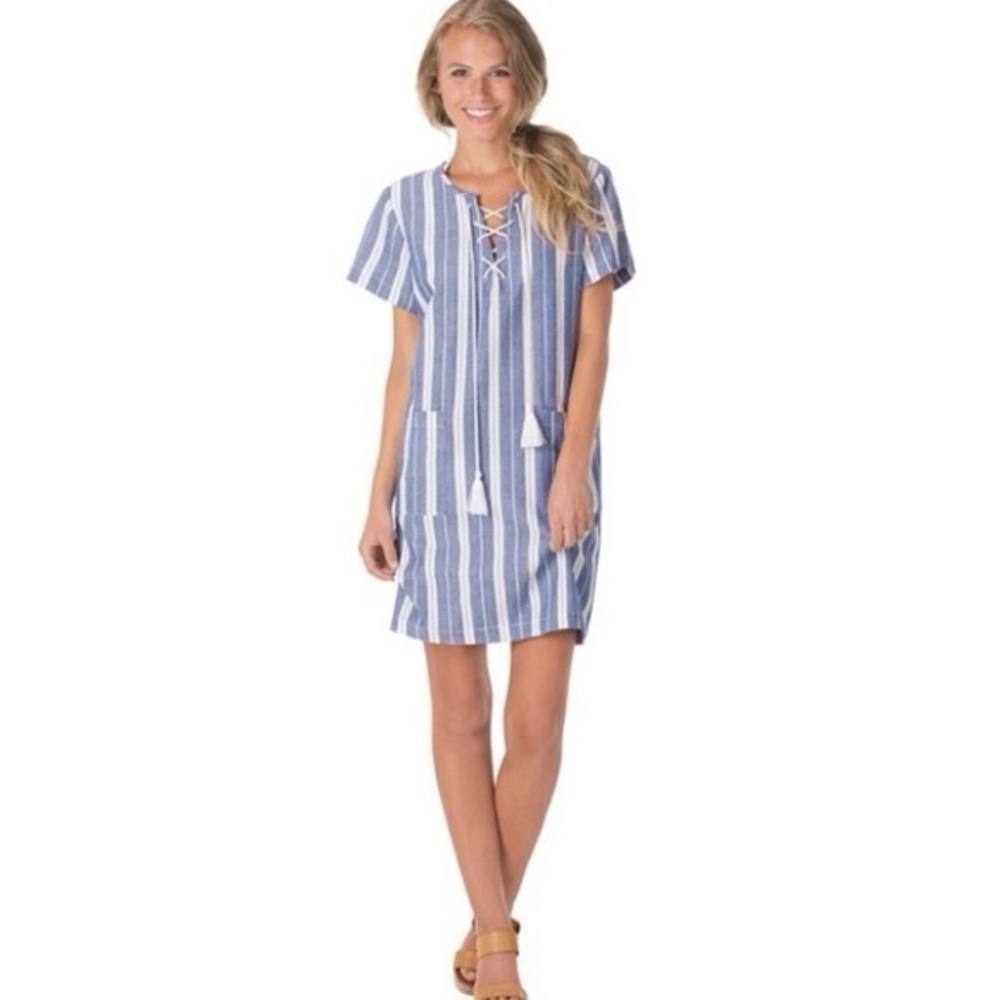 Mud Pie Chambray dress